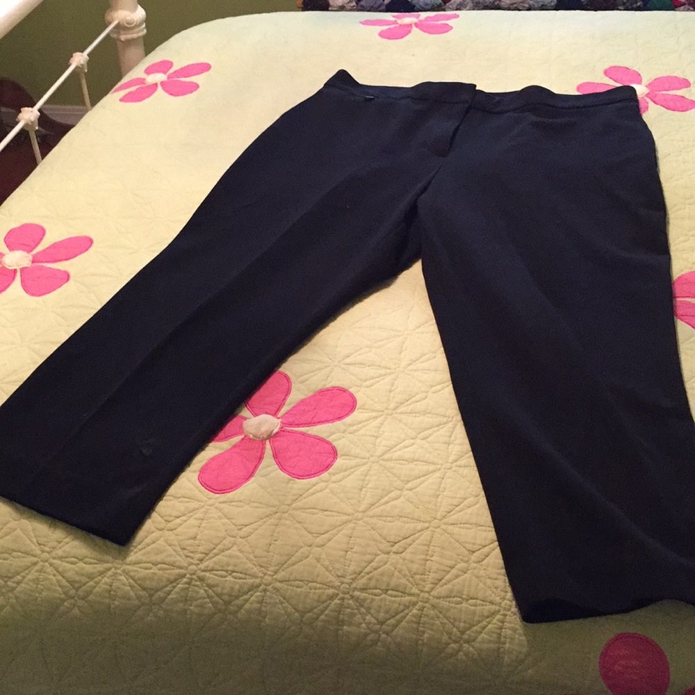 Dressy capris